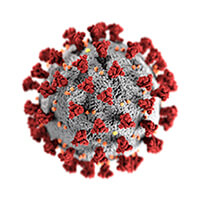 Coronavirus